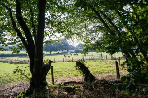 Bellswood