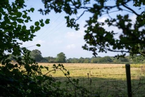 Bellswood