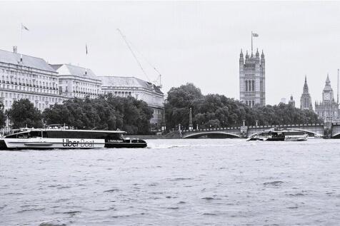Picture No. 11