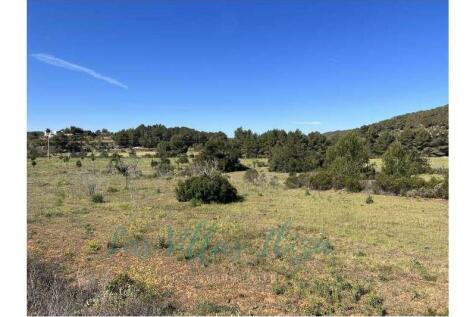 Land with project