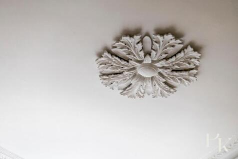 Ceiling Rose