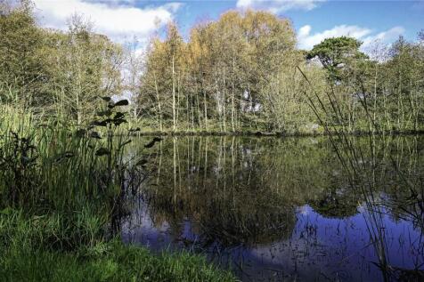 Fishing Lake