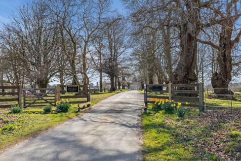Grounds
