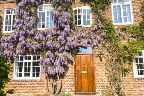 Wysteria Shot