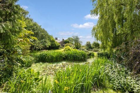 Pond