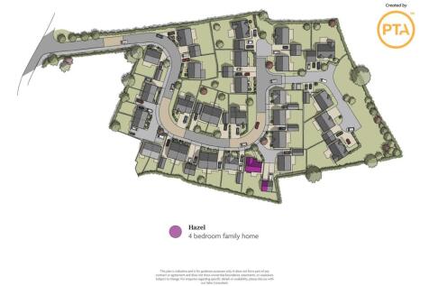 Hazel Plan