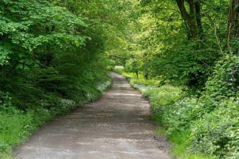 Access Road