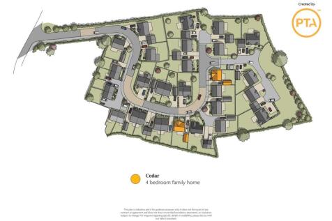 Cedar Plan