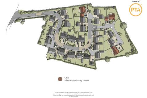 Oak Plan