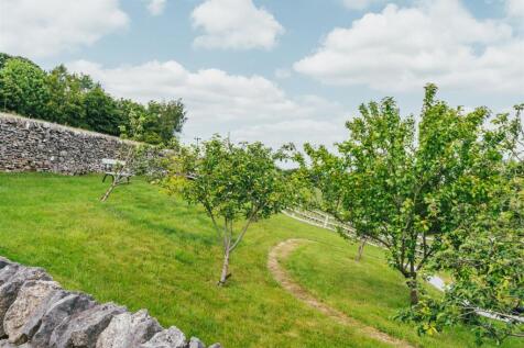 Orchard