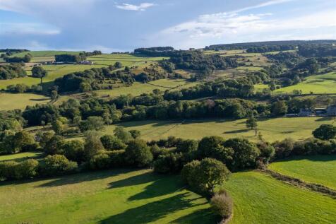 Mayfield Valley