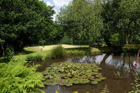 Property Image 39