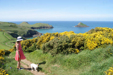 6669935e16ca6_dogwalker on coast path