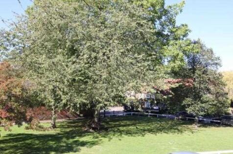 Village Green