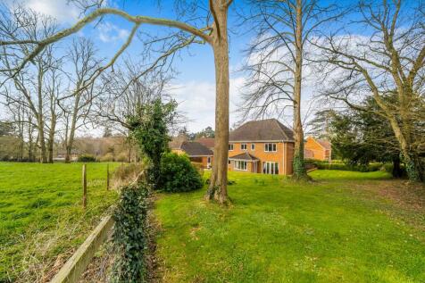 Property Image 31
