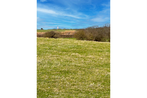 Judith C Field, Cranstal, Bride (5).png