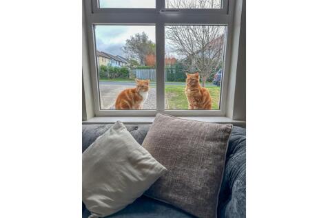 15 Oak Road (28).jpg