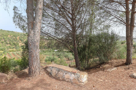 Property Image 59