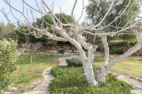 Property Image 61