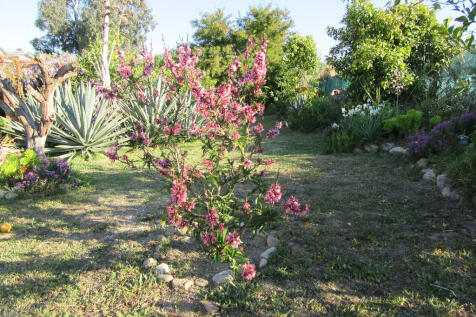 Property Image 69
