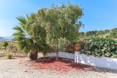 Property Image 59