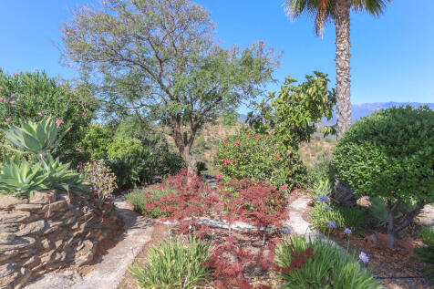 Property Image 58