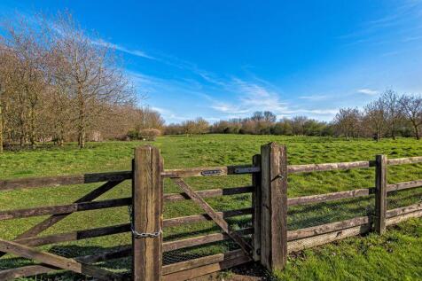 Countryside view