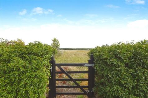 Open Fields