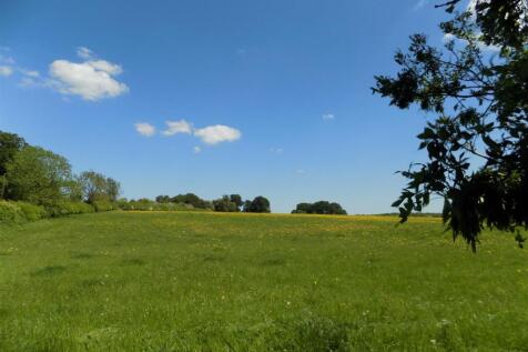 DSCN3595.JPG