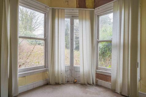 20250214-DSC02733...