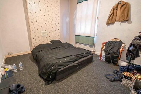 20250207-DSC02441...