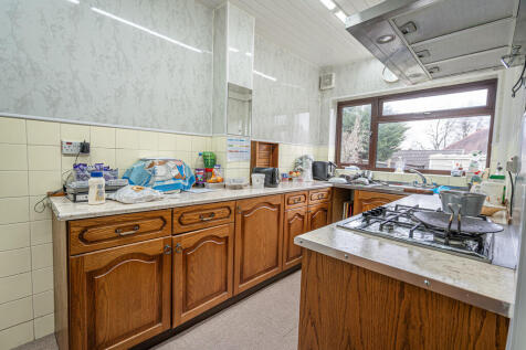 20250312-DSC03338...