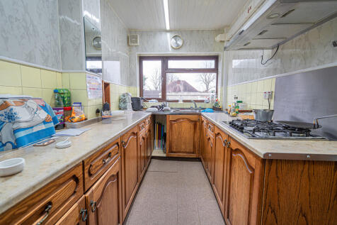 20250312-DSC03336...