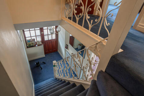 20250312-DSC03313...