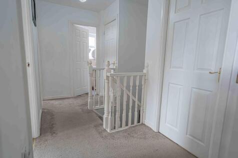 20250224-DSC02994...