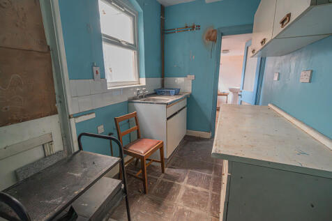 20250414-DSC03848...
