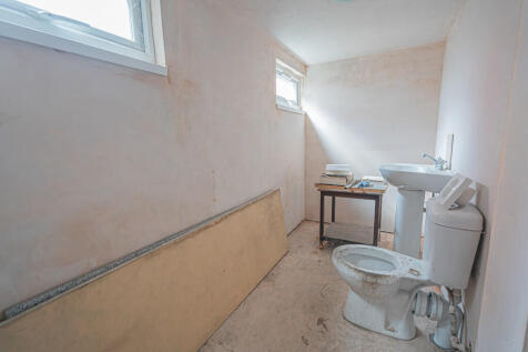 20250414-DSC03850...