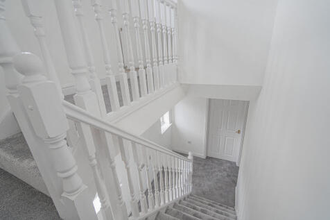 20250423-DSC03975...