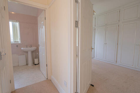 20250501-DSC04144...