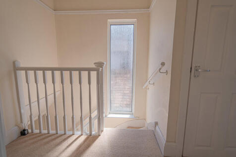 20250501-DSC04146...