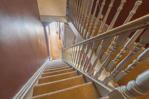 20250417-DSC03946...