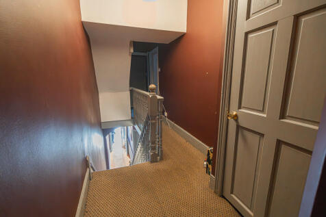 20250417-DSC03943...