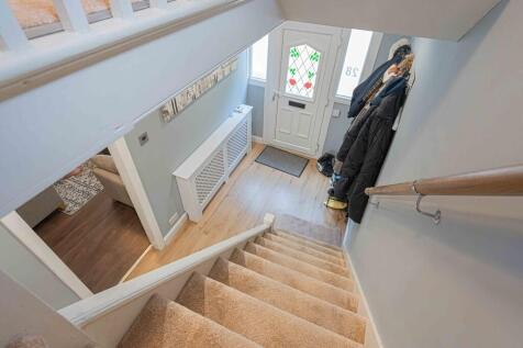 20250703-DSC05156...