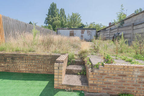 20250708-DSC05364...