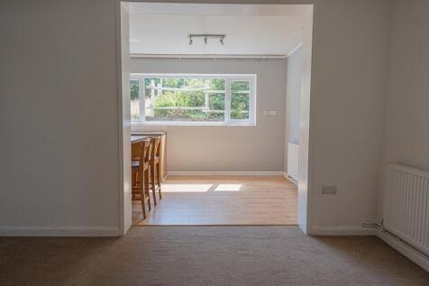 20250709-DSC05387...