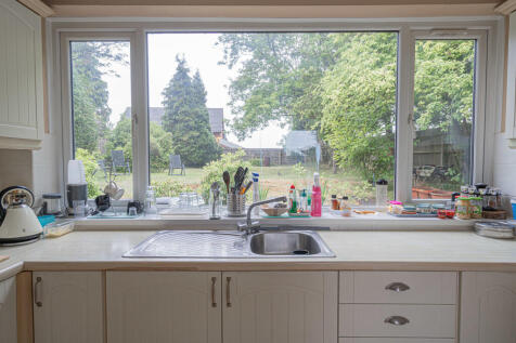 20250729-DSC05816...