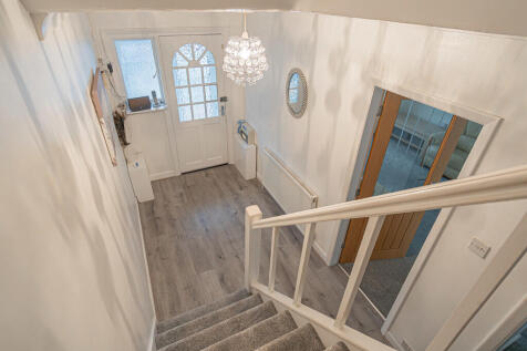 20251002-DSC06824...