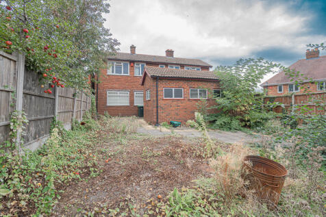 20251001-DSC06767...