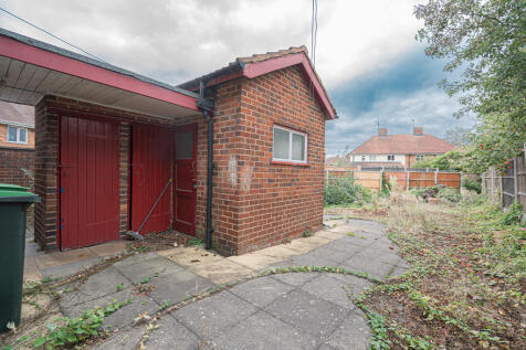 20251001-DSC06769...