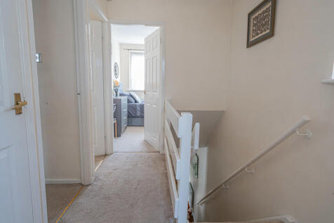 20250916-DSC06450...